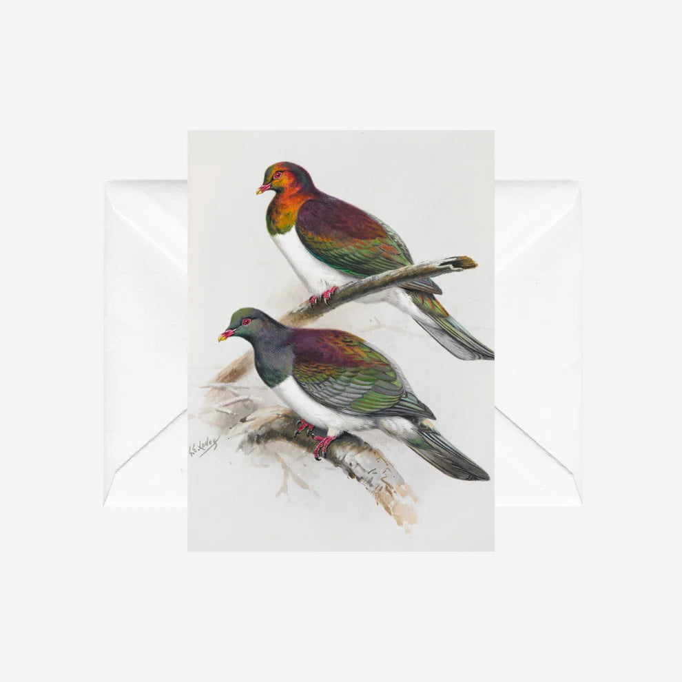 George Lodge - Card - Kereru-Te Papa Store-Matakana Pharmacy