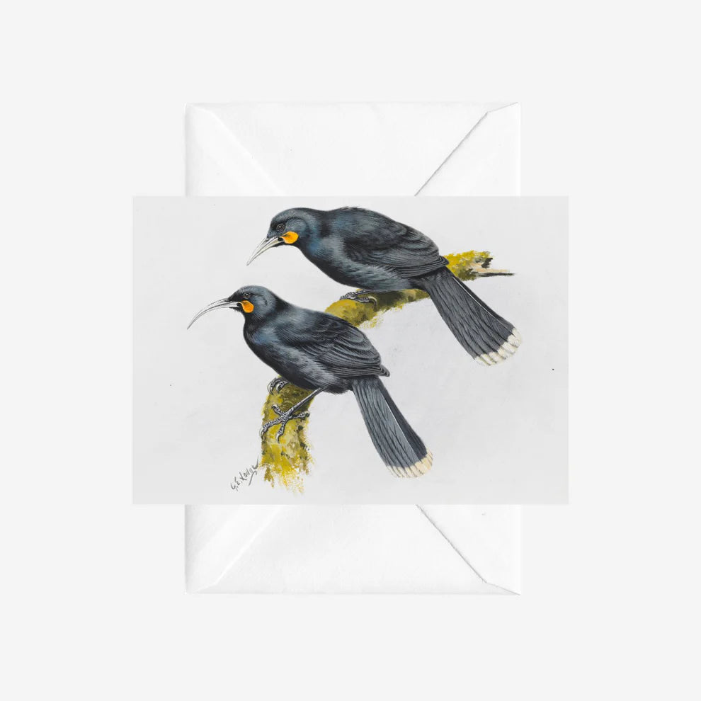 George Lodge - Card - Huia-Te Papa Store-Matakana Pharmacy