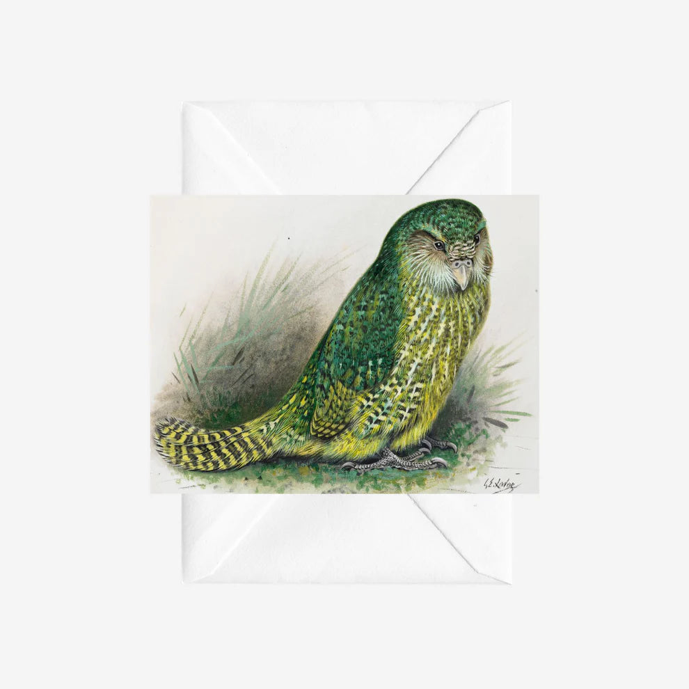 George Lodge - Card - Kakapo-Te Papa Store-Matakana Pharmacy
