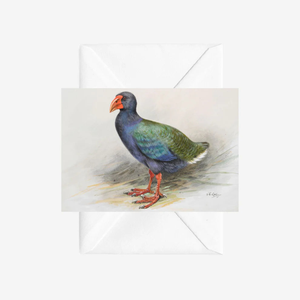 George Lodge - Card - Takahe-Te Papa Store-Matakana Pharmacy