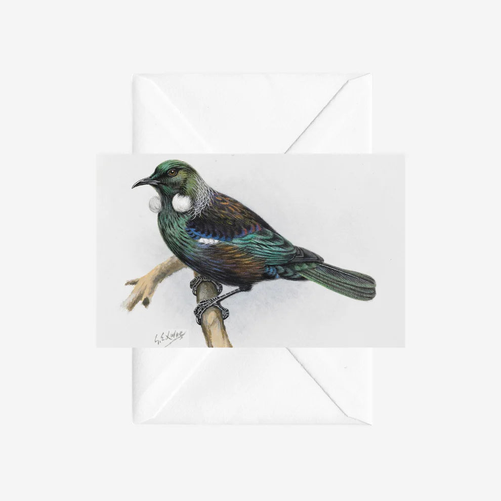 George Lodge - Card - Tui-Te Papa Store-Matakana Pharmacy