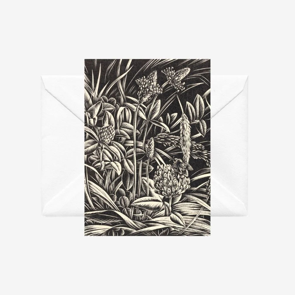 Clover Card by E Mervyn Taylor-Te Papa Store-Matakana Pharmacy