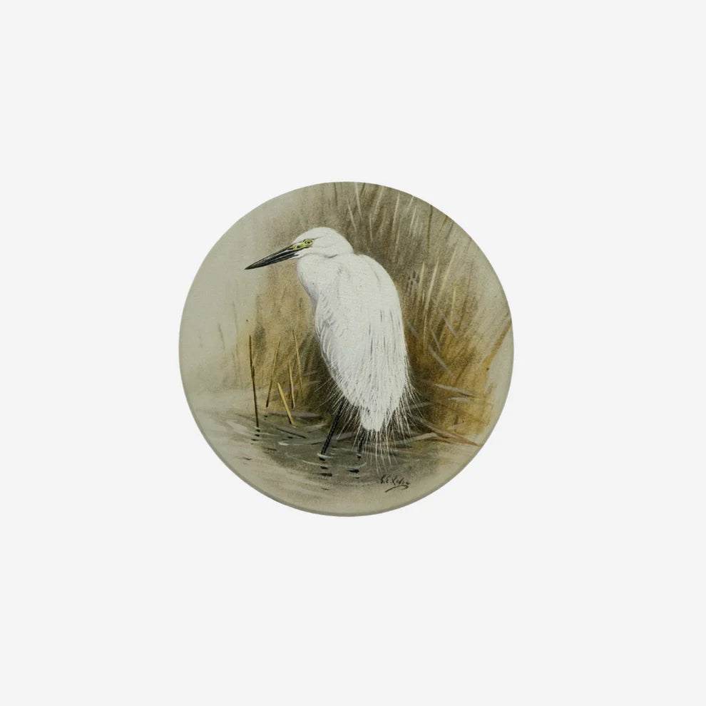 George Lodge - Coaster - Kotuku-Te Papa Store-Matakana Pharmacy