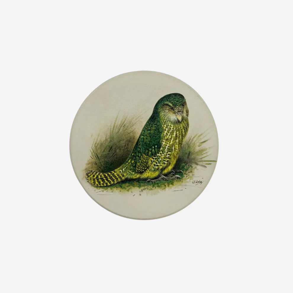 George Lodge - Coaster - Kakapo-Te Papa Store-Matakana Pharmacy