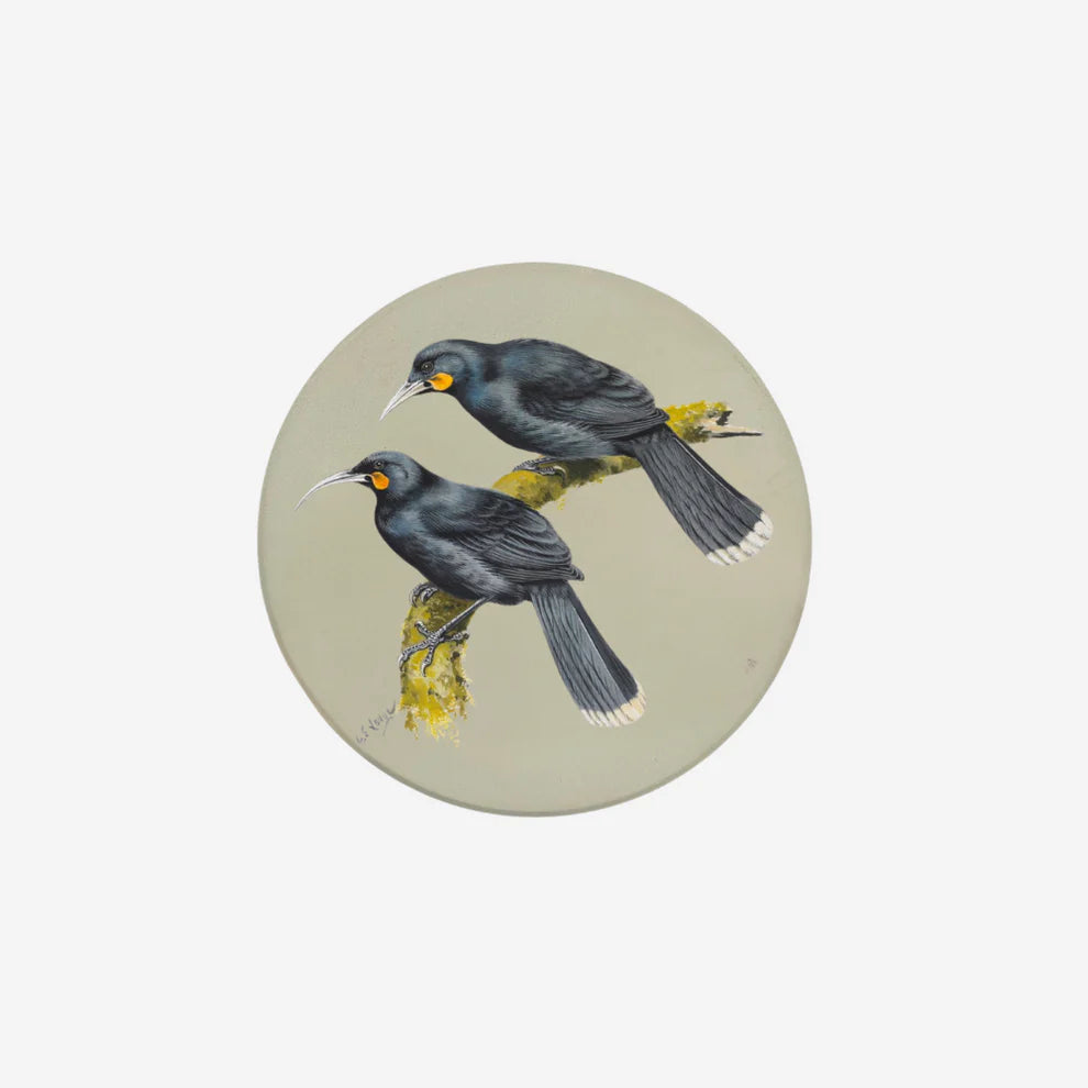 George Lodge - Coaster - Huia-Te Papa Store-Matakana Pharmacy