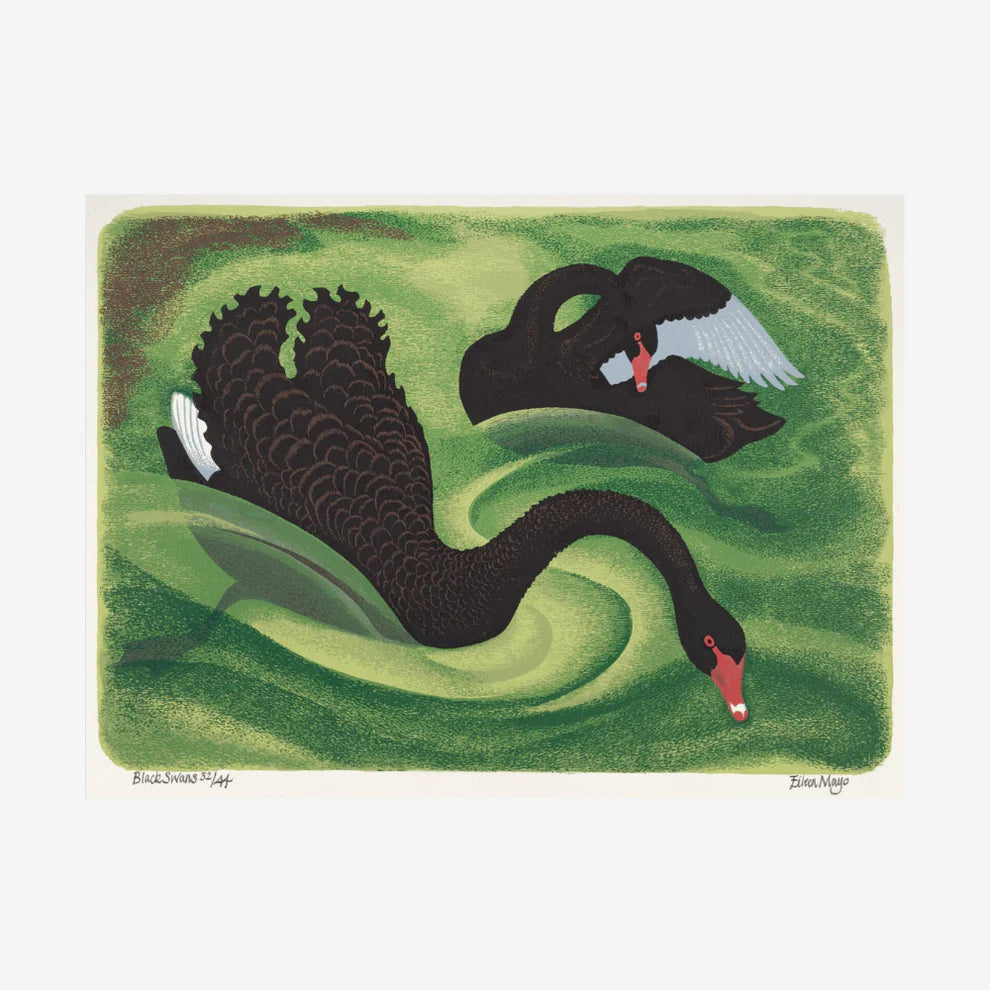 Eileen Mayo - Print - Black Swans A3-Te Papa Store-Matakana Pharmacy