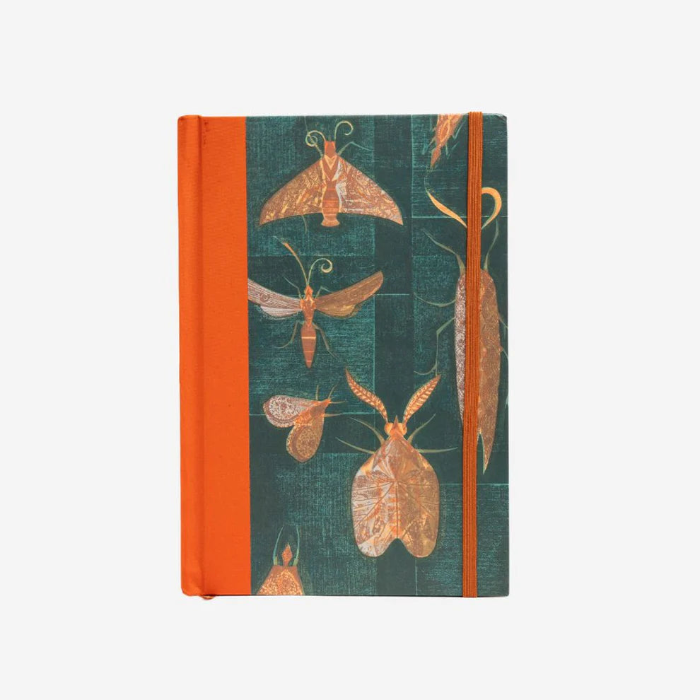 Eileen Mayo - Journal - Moths on the Window-Te Papa Store-Matakana Pharmacy