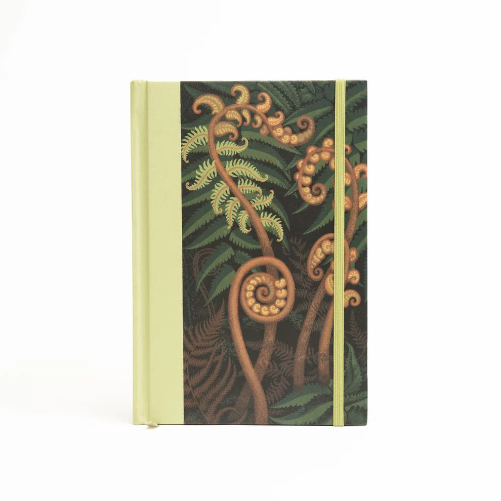 Eileen Mayo - Journal - Springing Fern-Te Papa Store-Matakana Pharmacy