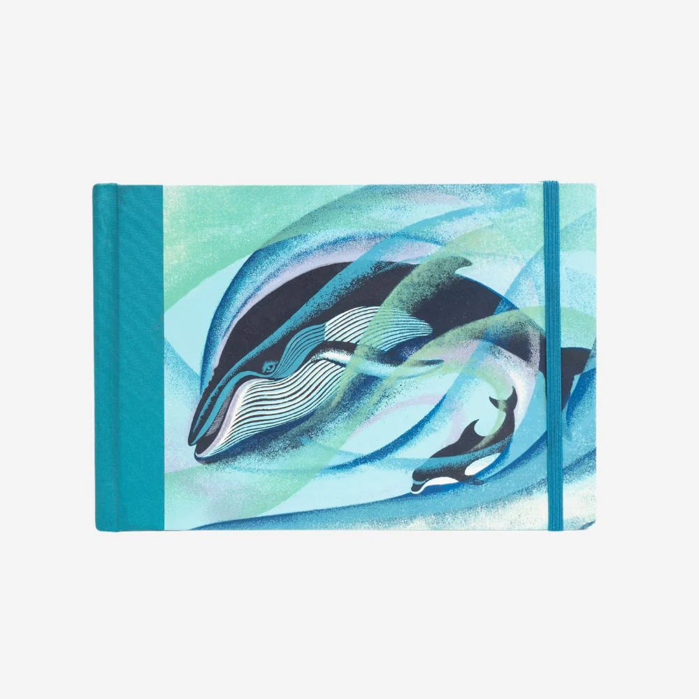 Eileen Mayo - Journal - Humpback and Bottlenose-Te Papa Store-Matakana Pharmacy