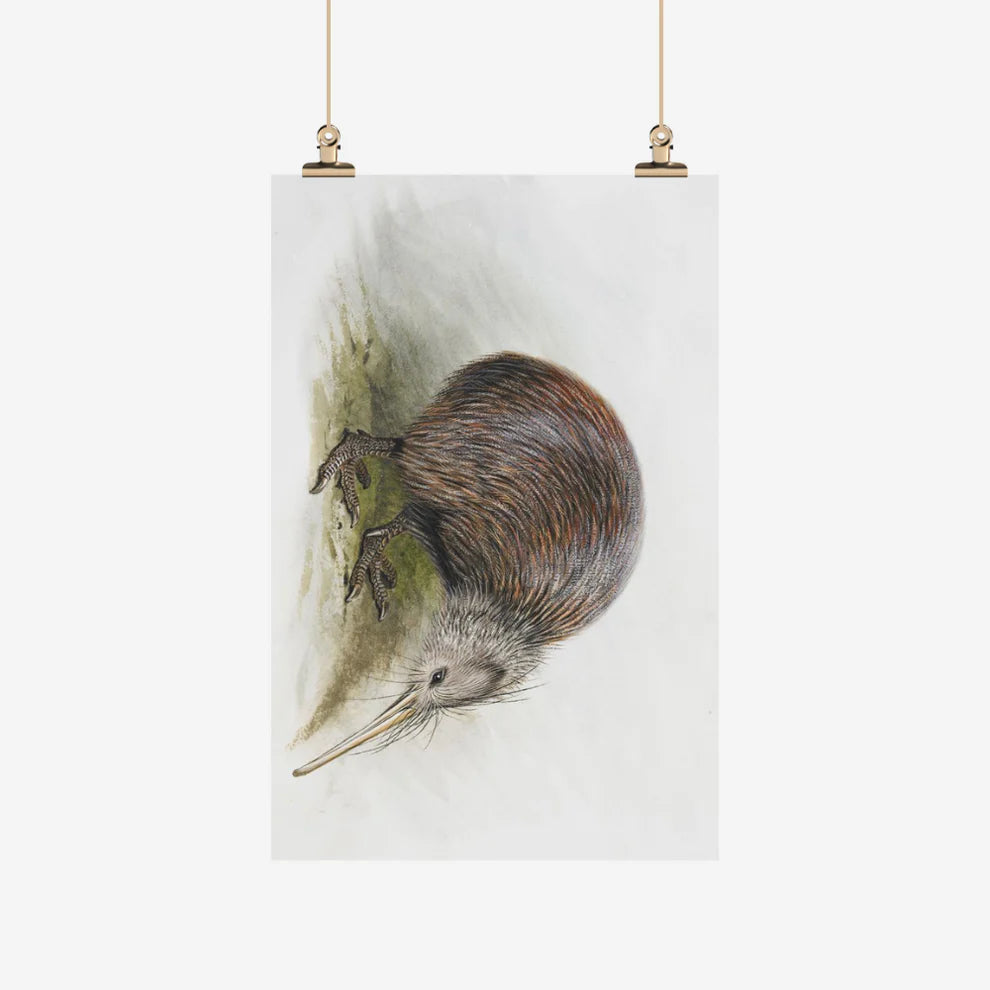 George Lodge - Tea Towel - Kiwi-Te Papa Store-Matakana Pharmacy