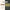 Collagen Protein Bar Lemon Tart 45g-Chief-Matakana Pharmacy