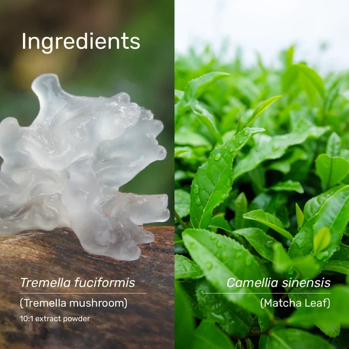 Tremella Matcha 80g | Superfeast-SuperFeast-Matakana Pharmacy