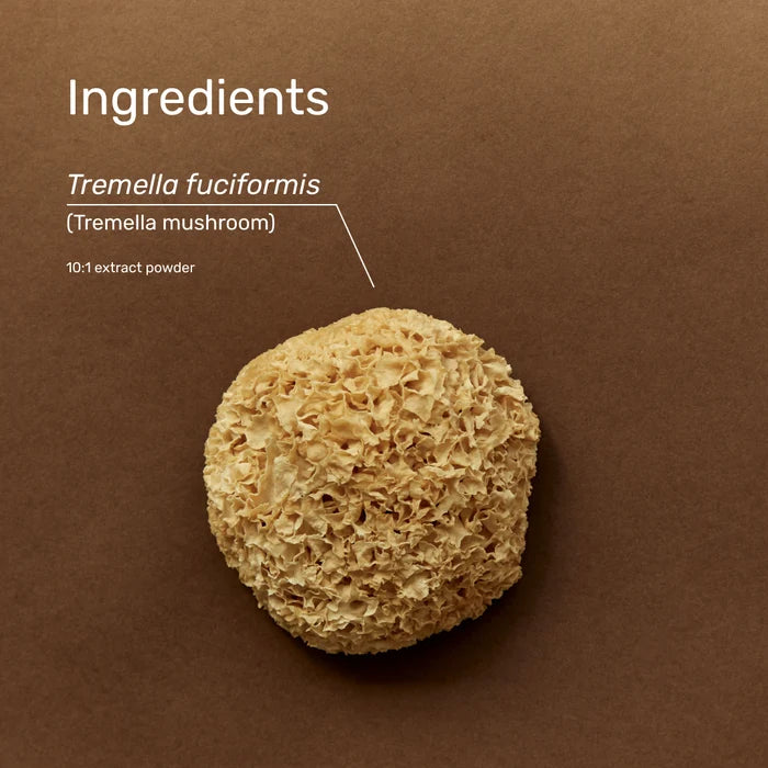 Tremella Powder 1kg | Superfeast-SuperFeast-Matakana Pharmacy