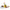 MagicT Infuser Tube-Magic T-Matakana Pharmacy