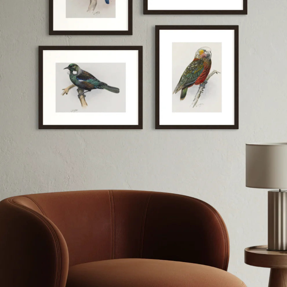 George Lodge- Print - Tui A4-Te Papa Store-Matakana Pharmacy