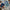 Intuition Card Set-By Wildling Books-Matakana Pharmacy