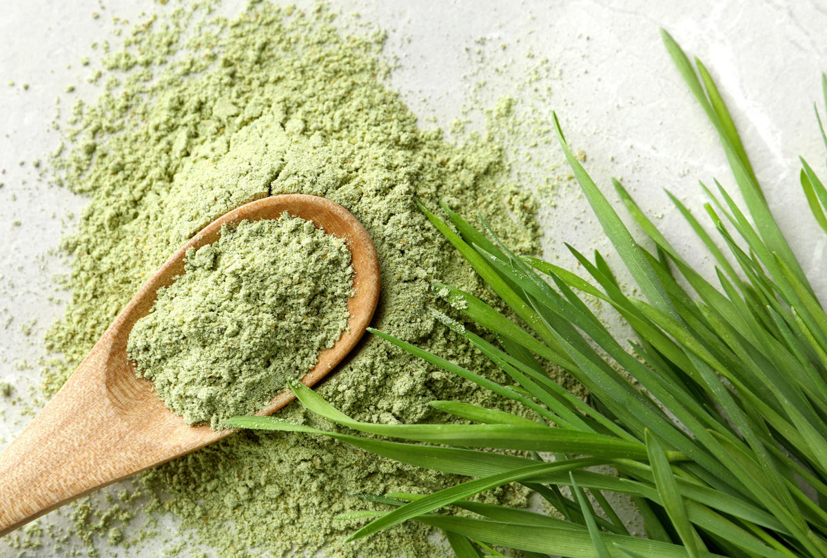 Wheat Grass (Leaf) Powder Organic 1kg-Matakana Superfoods-Matakana Pharmacy