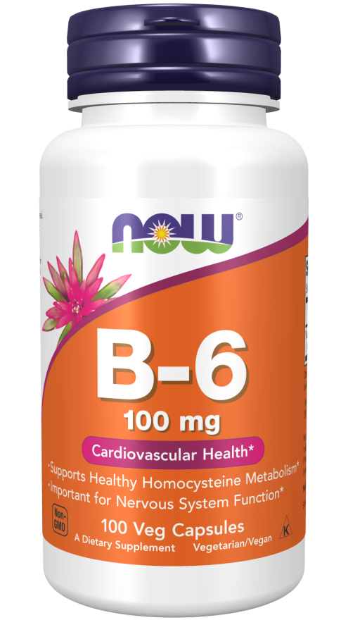 Image of Vitamin B6 100mg 100caps