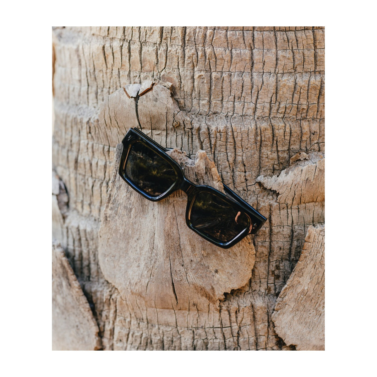 Wollumbin Cassowary black frame, three-quarter view