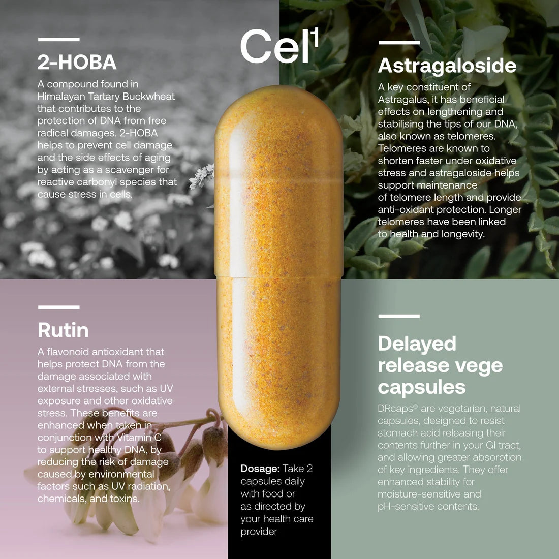 Cel123 Triple Pack - Cel1 + Cel2 + Cel3 | Cellular Rejuvenation by SRW-SRW Labs-Matakana Pharmacy