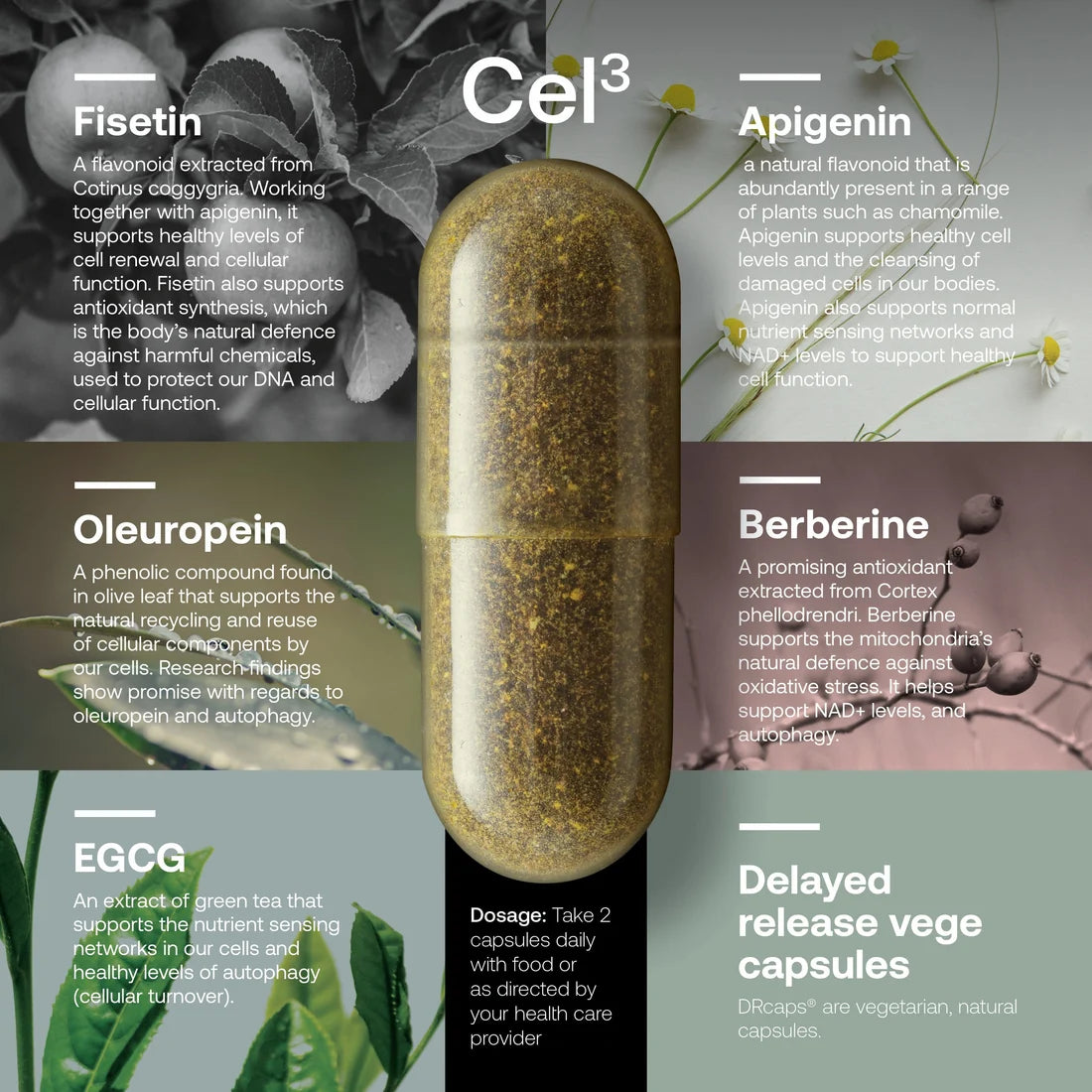Cel123 Triple Pack - Cel1 + Cel2 + Cel3 | Cellular Rejuvenation by SRW-SRW Labs-Matakana Pharmacy