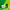 Chlorophyll Sticks - Lime Twist (30 pack)-Nature's Sunshine-Matakana Pharmacy