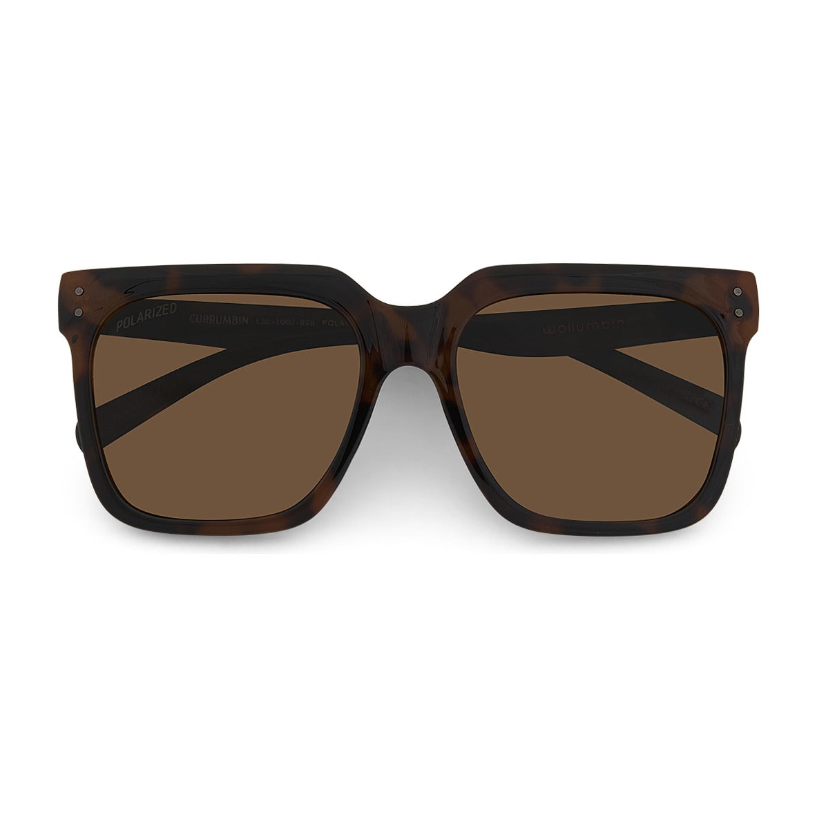 Wollumbin Currumbin tortoiseshell frame, three-quarter view
