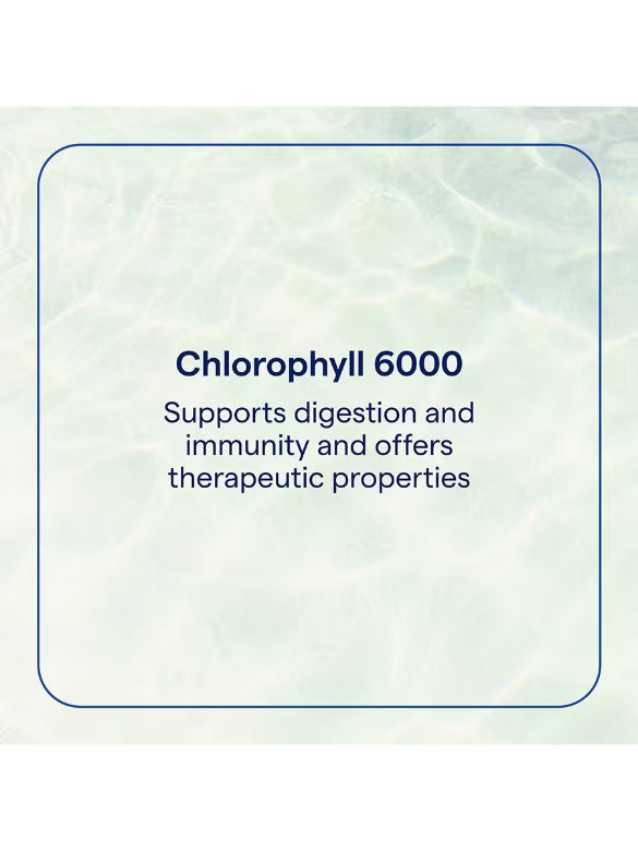 Ionic Chlorophyll 6000 - Mint 59ml-Trace Minerals-Matakana Pharmacy