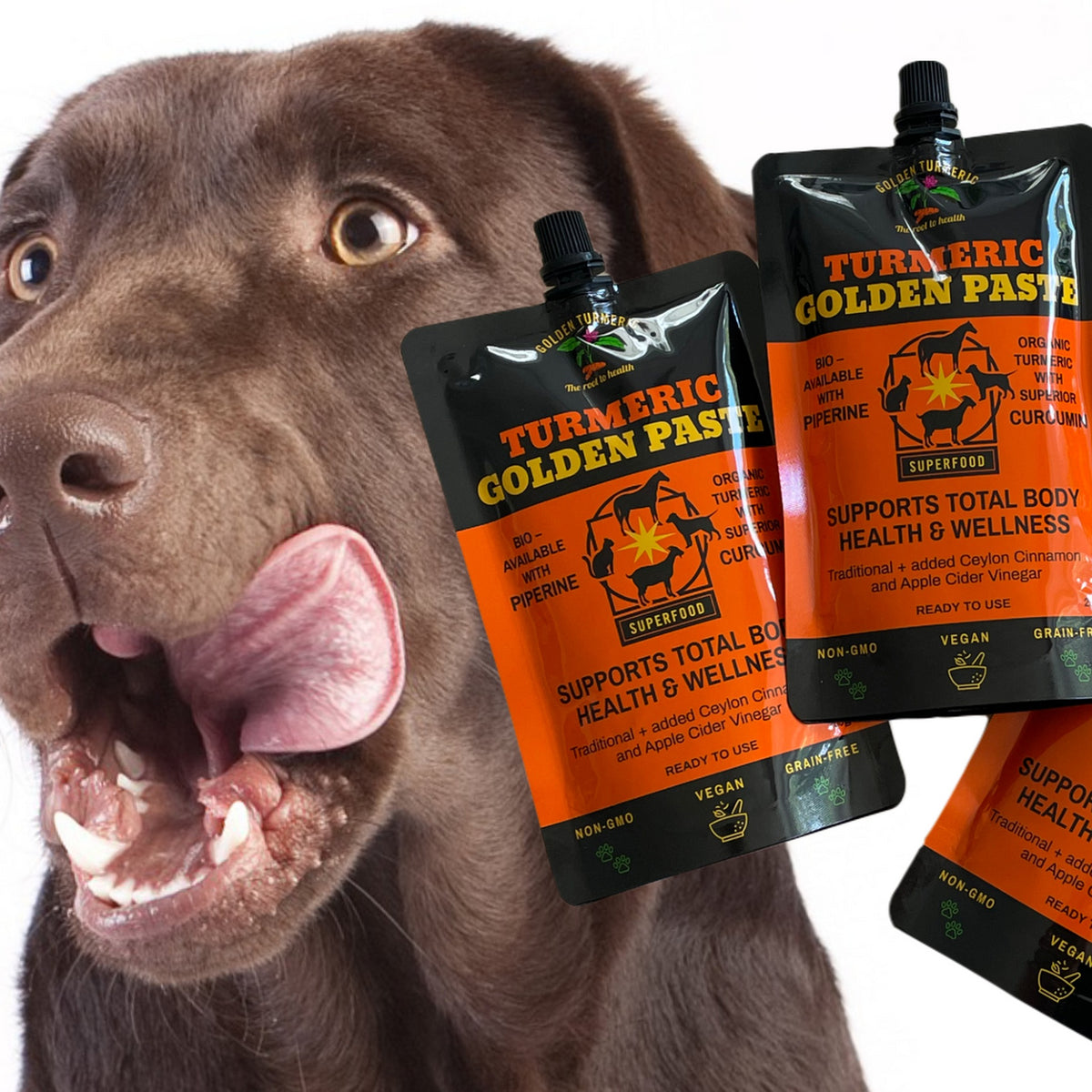 Dog beside three pouches of Turmeric Golden Paste for Pets