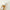 Ginseng Cleansing Oil 210mL-Beauty of Joseon-Matakana Pharmacy