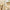 Glow Replenishing Rice Milk 150mL-Beauty of Joseon-Matakana Pharmacy