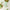Green Plum Refreshing Cleanser 100mL-Beauty of Joseon-Matakana Pharmacy