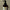 NO.5+ Glutathione Vitamin Facial Spa Cleanser 200ml-numbuzin-Matakana Pharmacy