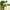 From Green Avocado Cleansing Balm 100mL-Purito Seoul-Matakana Pharmacy