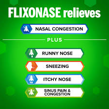 Flixonase 24hour Nasal Spray 120 Sprays-GSK-Matakana Pharmacy