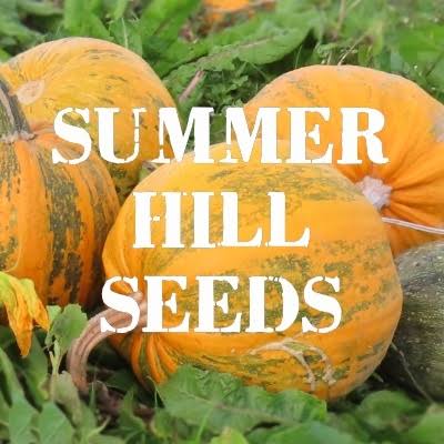 Pumpkin Seed Oil 5L | 100% NZ Grown-Summer Hill Seeds-Matakana Pharmacy