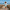 Woman walking a beach track in Walkable Beach Malibu pistachio jandals