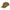 Kooringal Men's Casual Cap Larrikins in Coffee, front