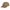 Kooringal Men's Legionnaire Hat Flinders in Sand, front