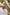 Kooringal Men's Mid Brim Hat Dalby in Hommus, view 3