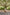 Kooringal Men's Safari Hat Fraser in Chai, view 3