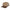 Kooringal Men's Trucker Cap Goldfield in Brown, front