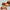 Bamboo Nail Brush-Nil-Matakana Pharmacy