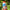 Doctor's Best NMN 60 capsule bottle held in hand outdoors in front of green leaves