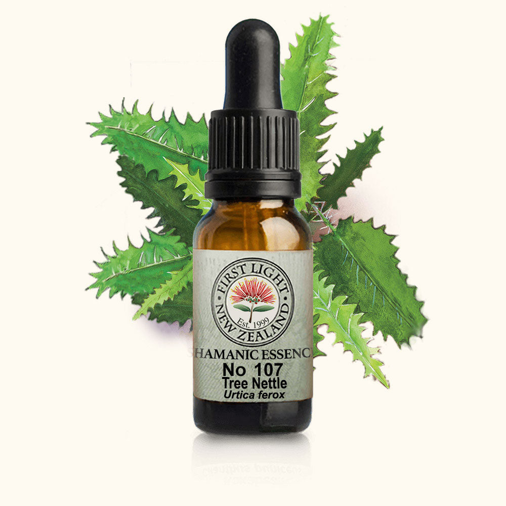 Tree Nettle Essence 10ml-First Light Essences-Matakana Pharmacy