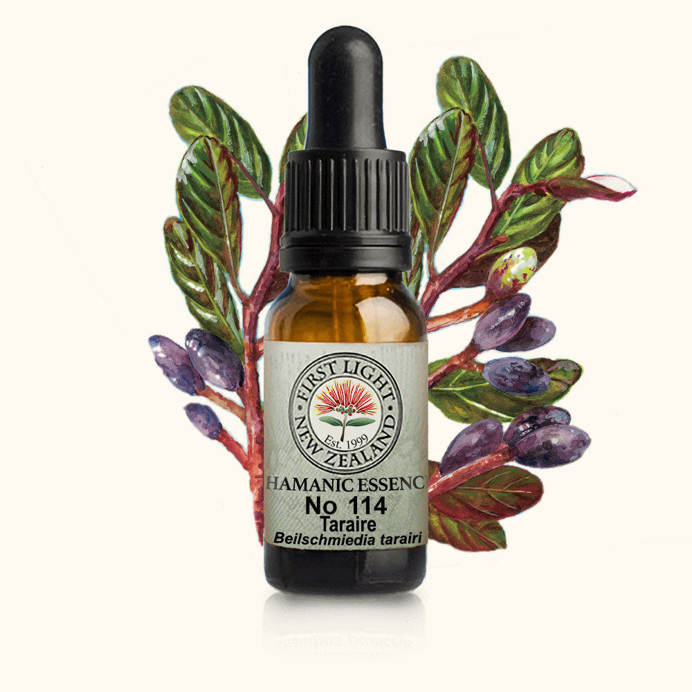 Taraire 10ml-First Light Essences-Matakana Pharmacy