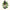 Bridal Tree 10ml-First Light Essences-Matakana Pharmacy