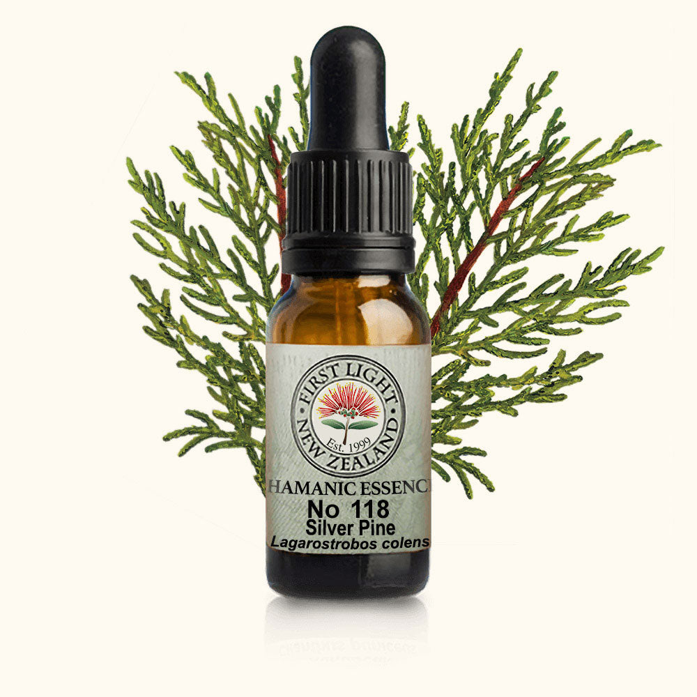 Silver Pine 10ml-First Light Essences-Matakana Pharmacy