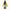 Spring Orchid 10ml-First Light Essences-Matakana Pharmacy