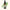 Owl's Foot Clubmoss 10ml-First Light Essences-Matakana Pharmacy